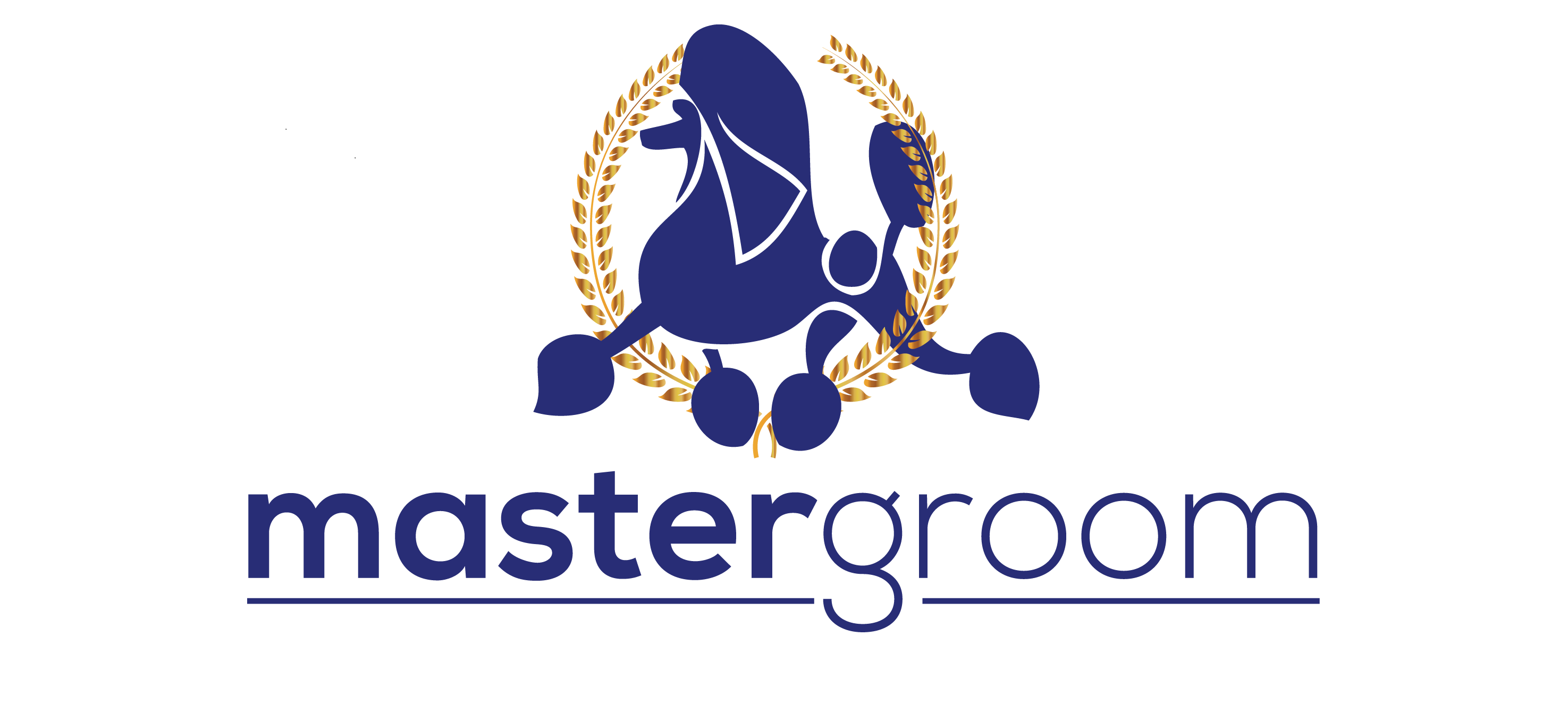 Master Groom Brasil 2025