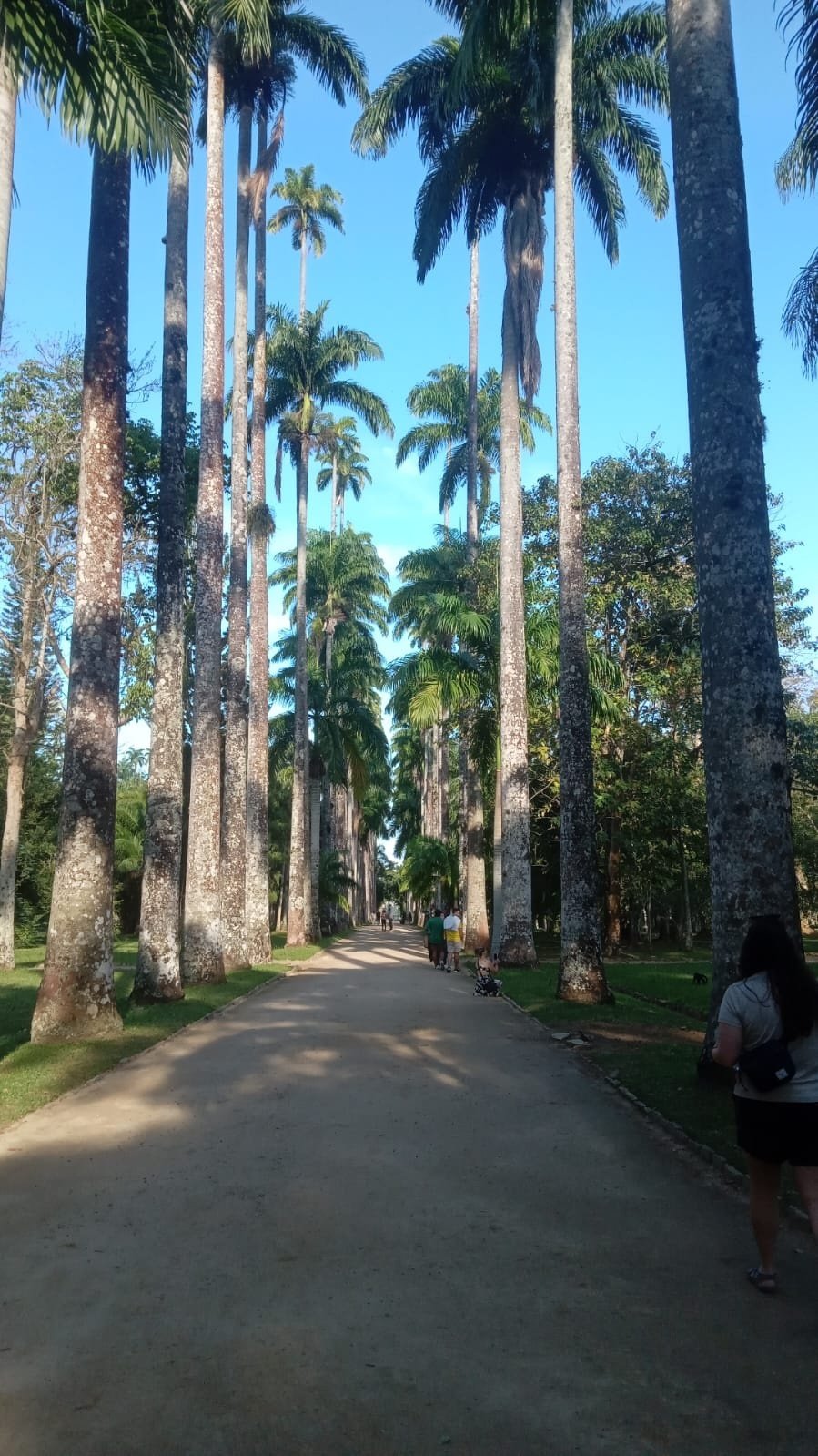 Jardim Botânico do Rio de Janeiro