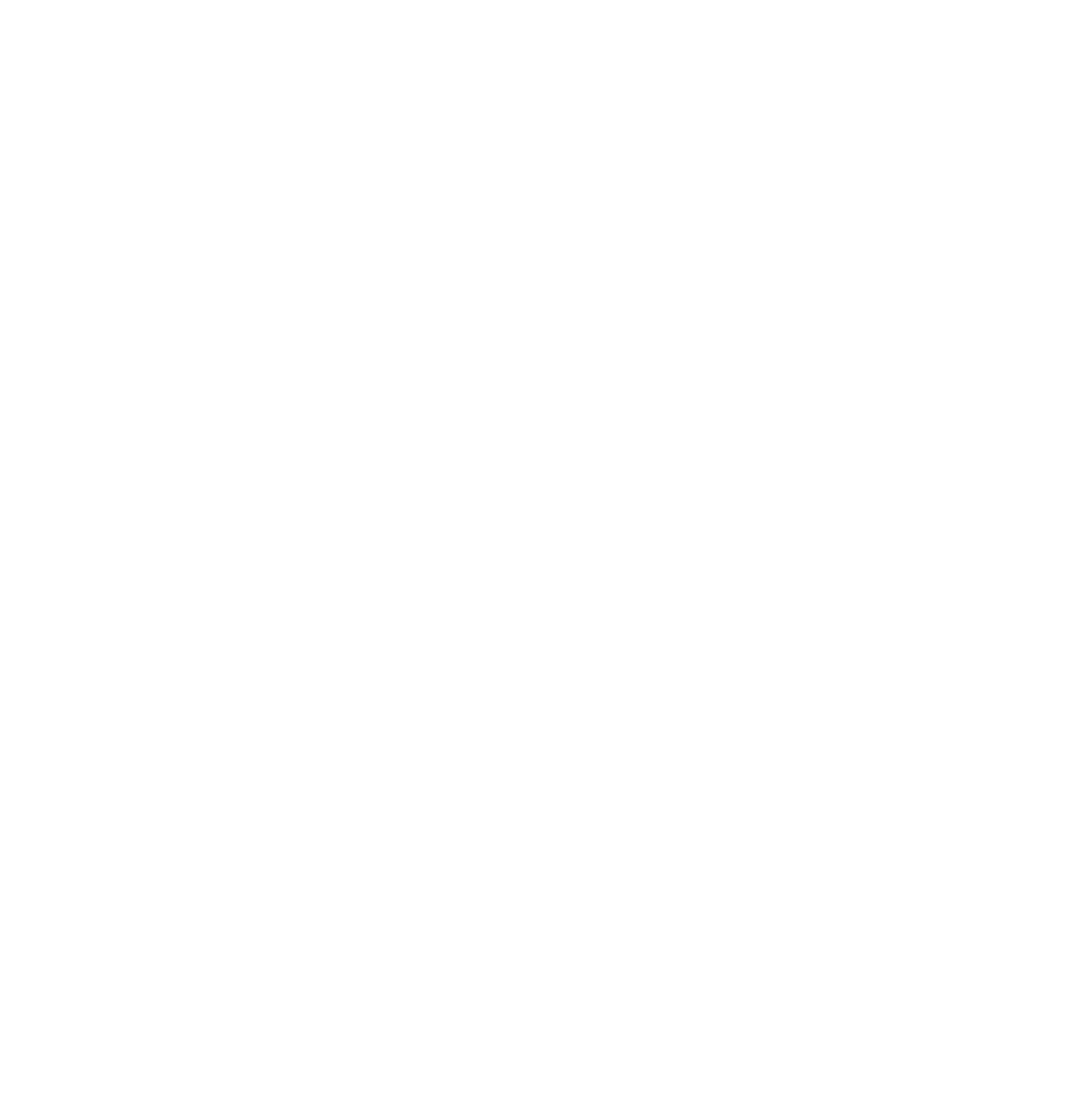 organizer