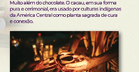 Banner Cerimonial do cacau