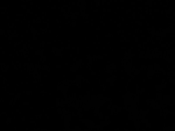 Imagem do evento BaiIe do Ramemes