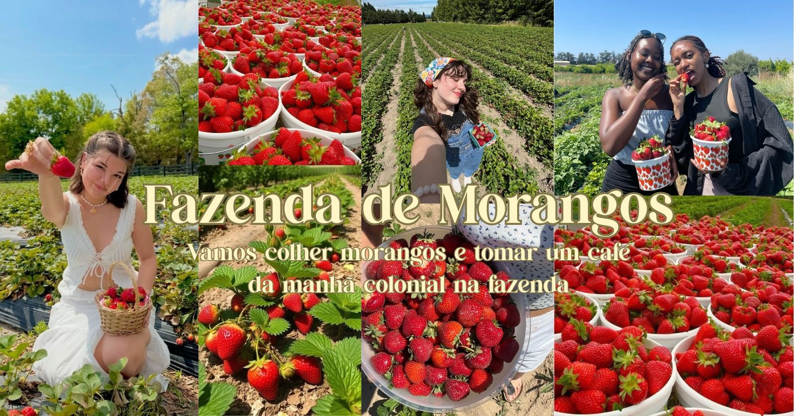 Viagem Fazenda de Morangos - Wellness Girls