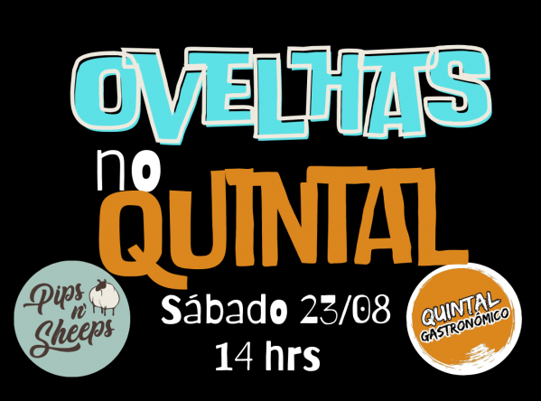 Imagem do evento Ovelhas no Quintal