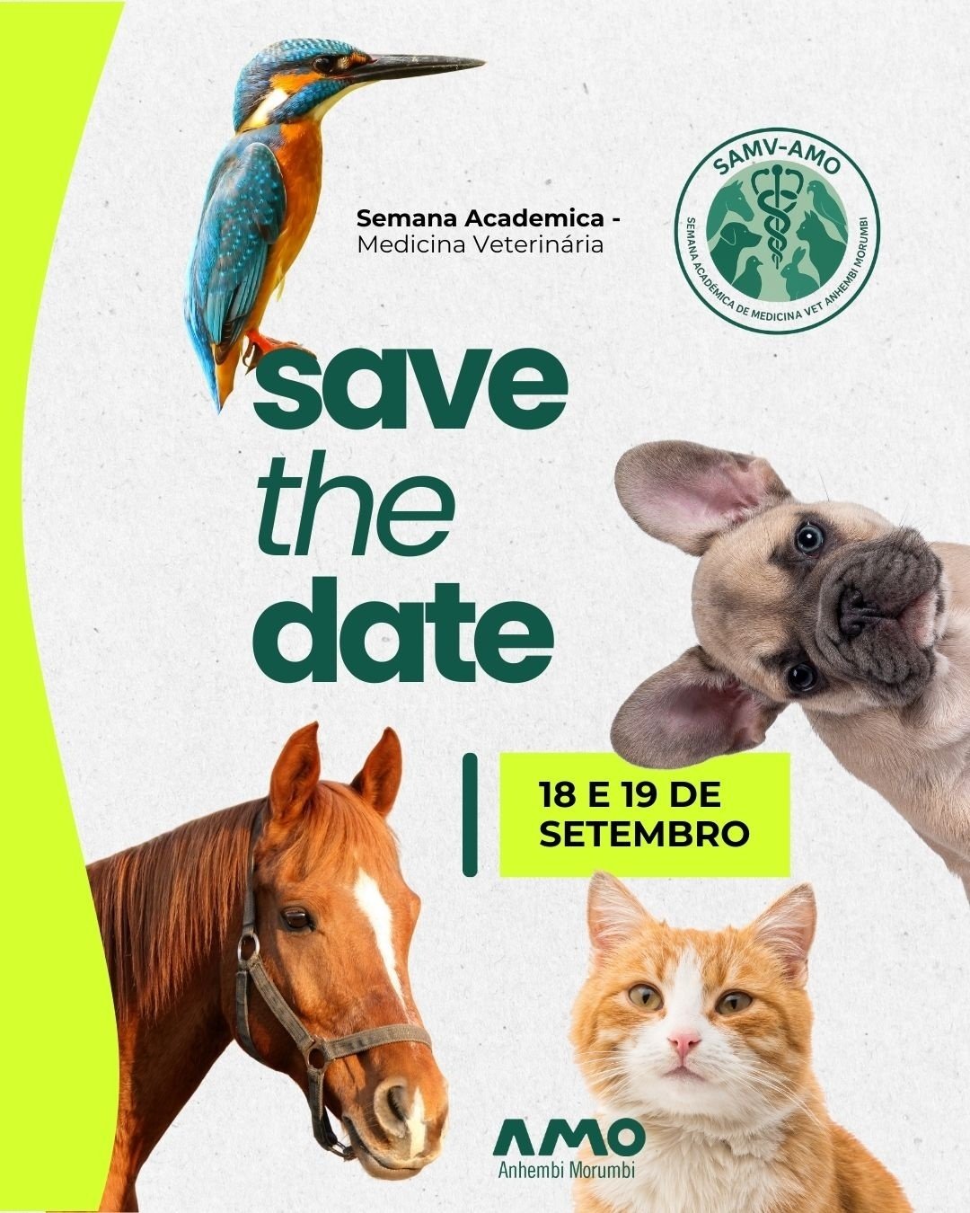 I SEMANA ACADÊMICA DE MEDICINA VETERINÁRIA - ANHEMBI MORUMBI (AMO) em ...
