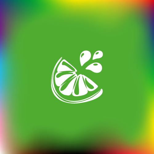 organizer
