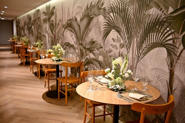 Imagem do evento Ceia de Natal no Caza Alimo