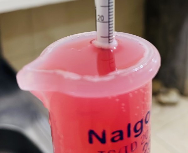 Imagem do evento Workshop Borbulhas (Vamos fazer espumante?)