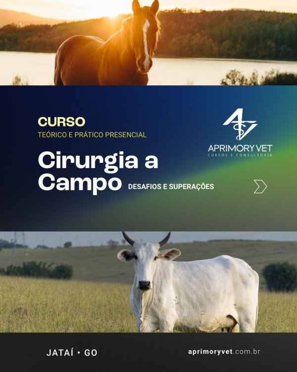 Imagem do evento Cirurgia a Campo - Desafios e Superações