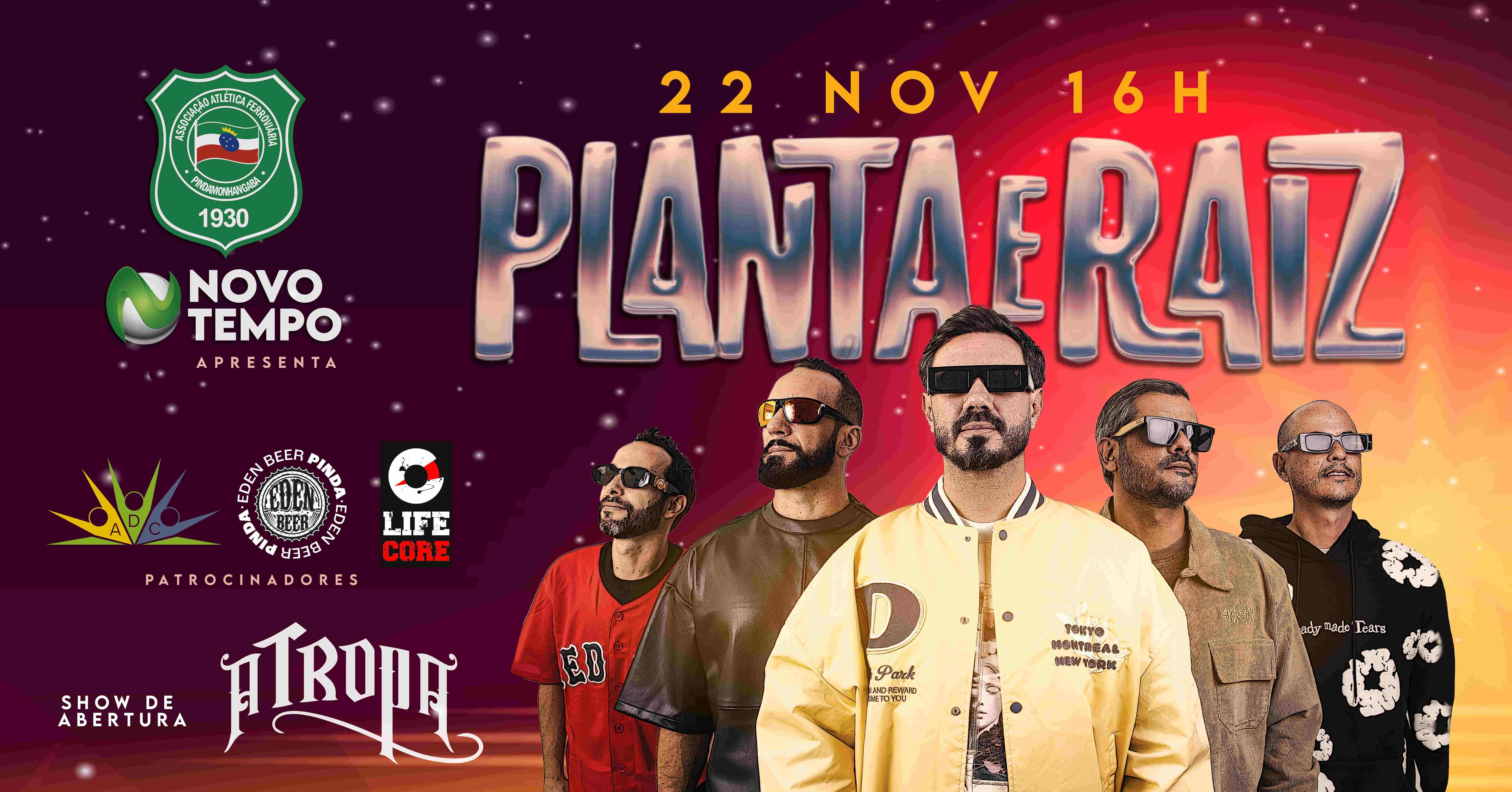 Planta e Raiz na Ferroviária em Pindamonhangaba