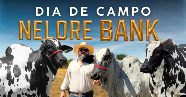 Imagem do evento DIA DE CAMPO DA NELORE BANK