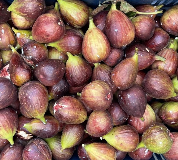 Imagem do evento Colheita do figo no pomar com Brunch na loja.