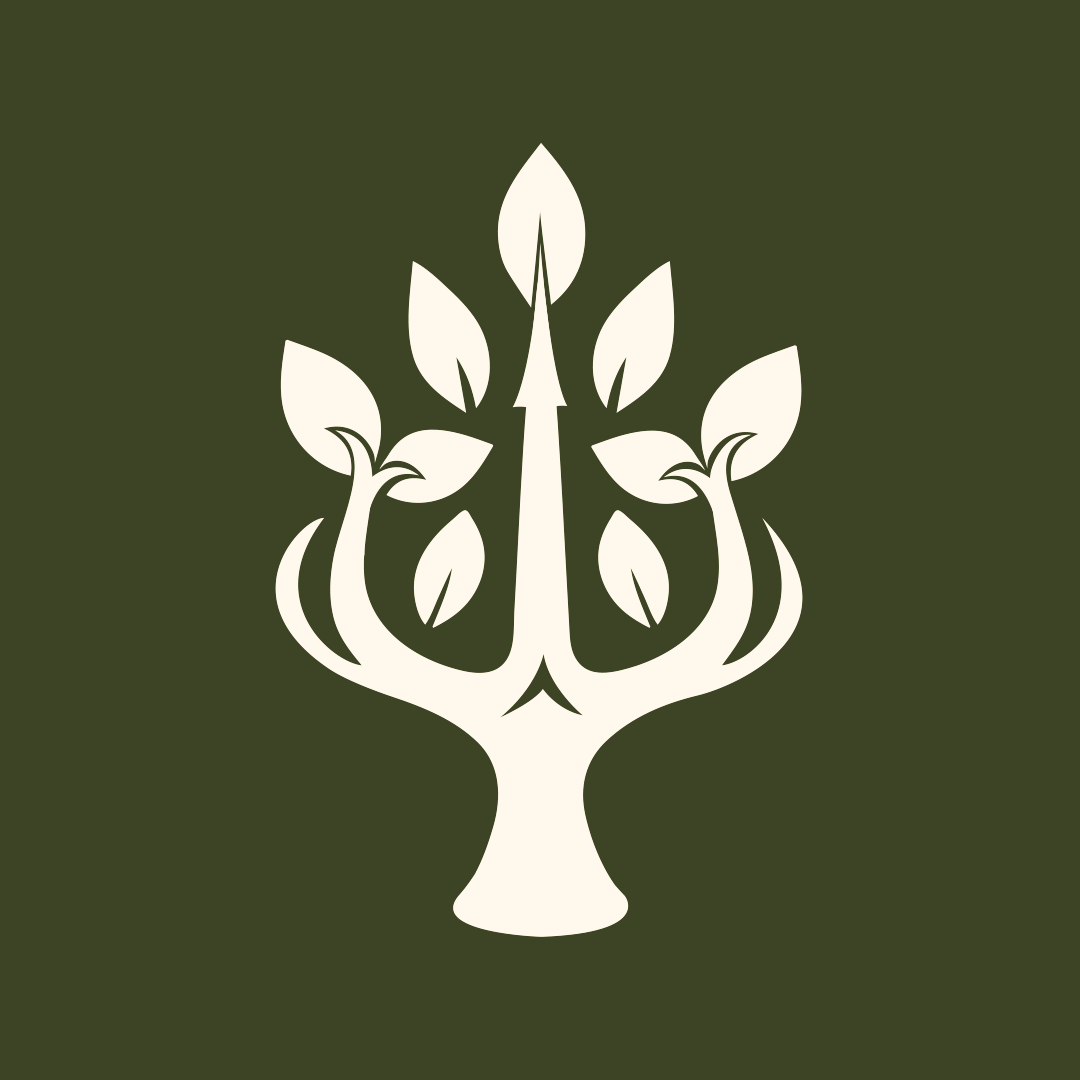 organizer