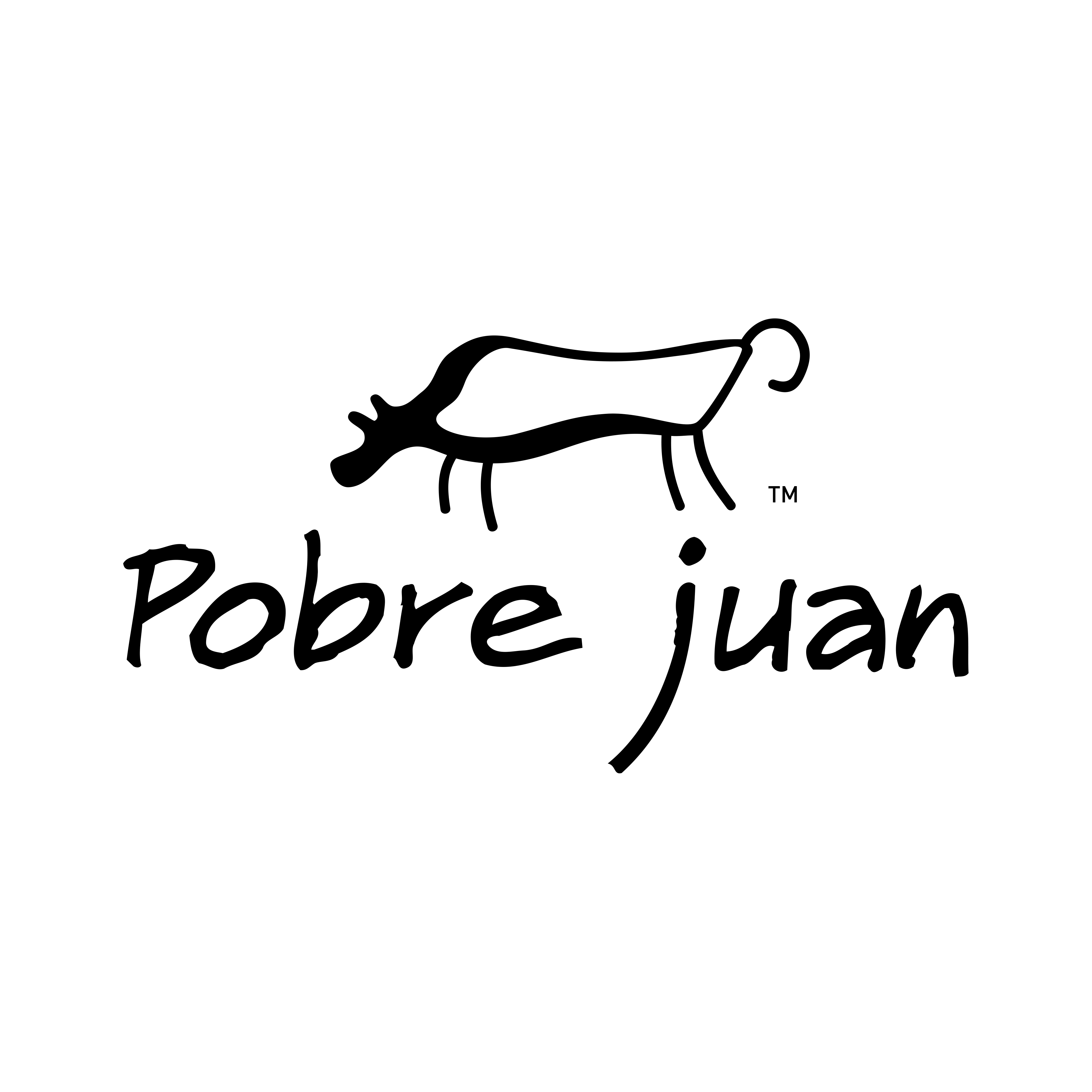 organizer