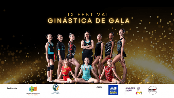 Imagem do evento IX Festival Ginástica de Gala
