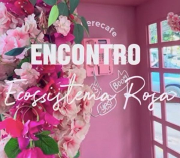 Imagem do evento Ecossistema Rosa 2026