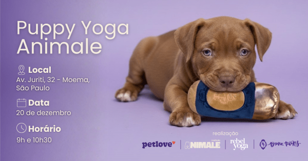 Imagem do evento Puppy Yoga com BT e Petlove