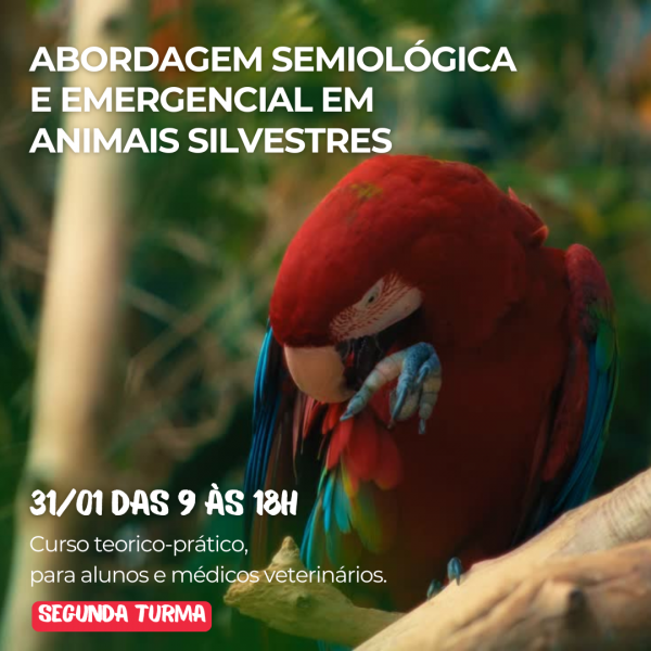 Imagem do evento 2ª Turma - Curso: Abordagem semiológia e emergencial em animais silvestres