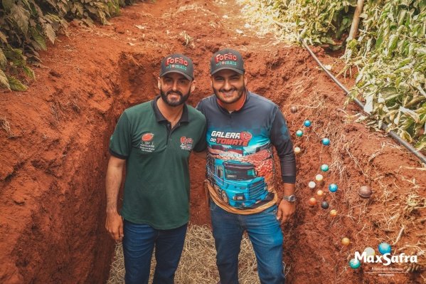 Imagem do evento Fofão do Tomate na Serra da Ibiapaba no Ceará