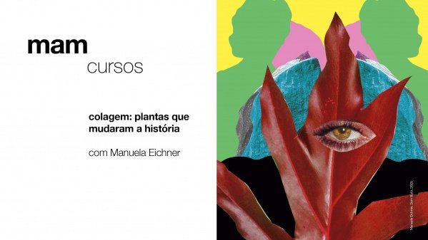 Imagem do evento curso online | colagem: plantas que mudaram a história, com Manuela Eichner