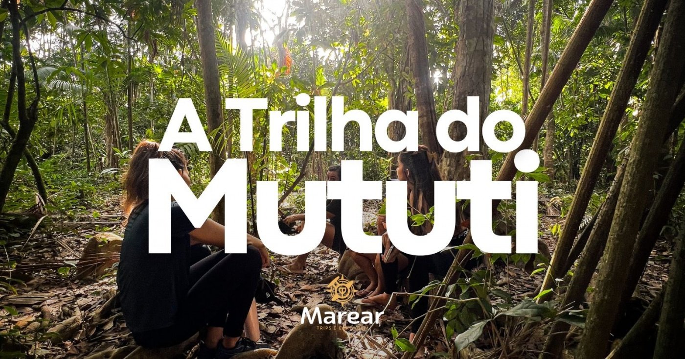 Mututi A Trilha do Mututi em Belém - Sympla