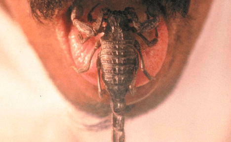 Imagem do evento Blasted 