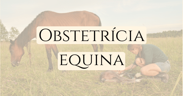 Imagem do evento Obstetrícia equina