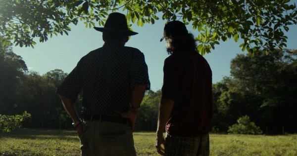 Imagem do evento Circo dos sonhos