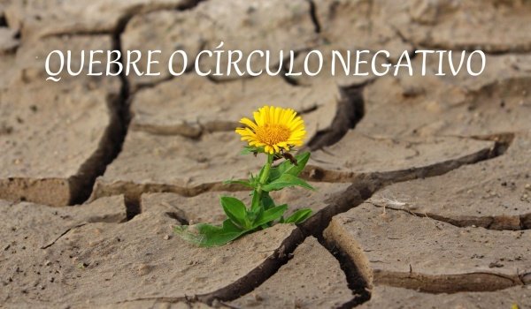 Imagem do evento Aula Filial Viva Velha: Quebre o Círculo Negativo