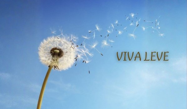 Imagem do evento Aula Filial Viva Velha: Viva leve