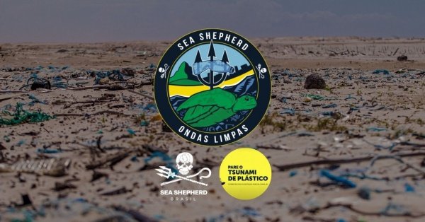 Imagem do evento ESTUÁRIO DA BARRA VELHA, ILHABELA SP I ONDAS LIMPAS SEA SHEPHERD BRASIL