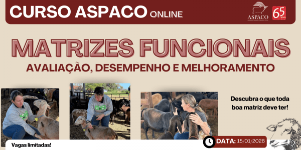 Imagem do evento CURSO ASPACO (ONLINE) - MATRIZES FUNCIONAIS