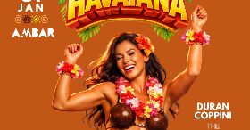 Imagem do evento BAILE HAVAIANO - THE DISCO