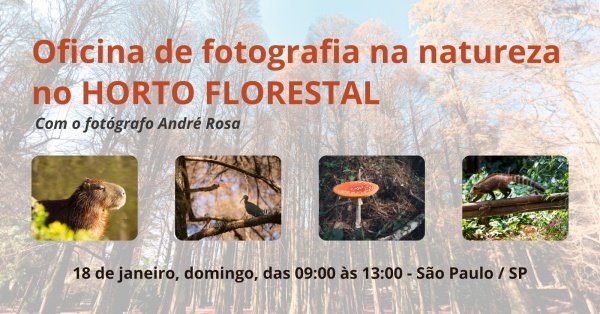 Imagem do evento Oficina de Fotografia na Natureza - Horto Florestal