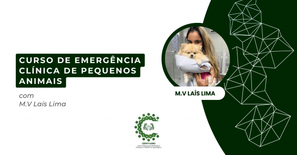 Imagem do evento Emergência Clínica de Pequenos Animais