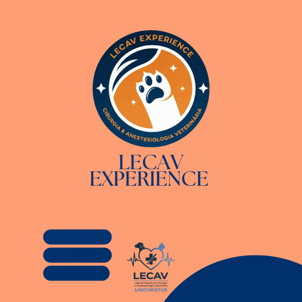 Imagem do evento LECAV Experience