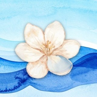 Imagem do evento Conferência Manancial | Conexão Mulher