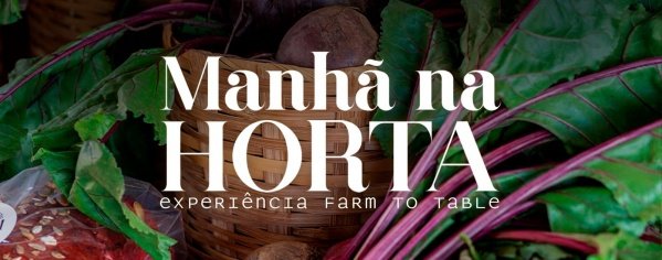 Imagem do evento Manhã na Horta - Edição Verão