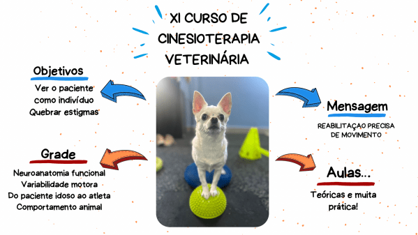 Imagem do evento XI Curso de Cinesioterapia Veterinária