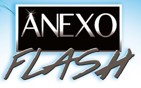 ANEXO FLASH - 26a Edição - Ressaca Do Carnaval - São Bernardo do Campo, SP