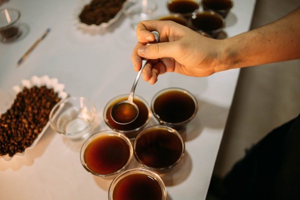 Imagem do evento Degustação Guiada Cafés das Montanhas Capixabas