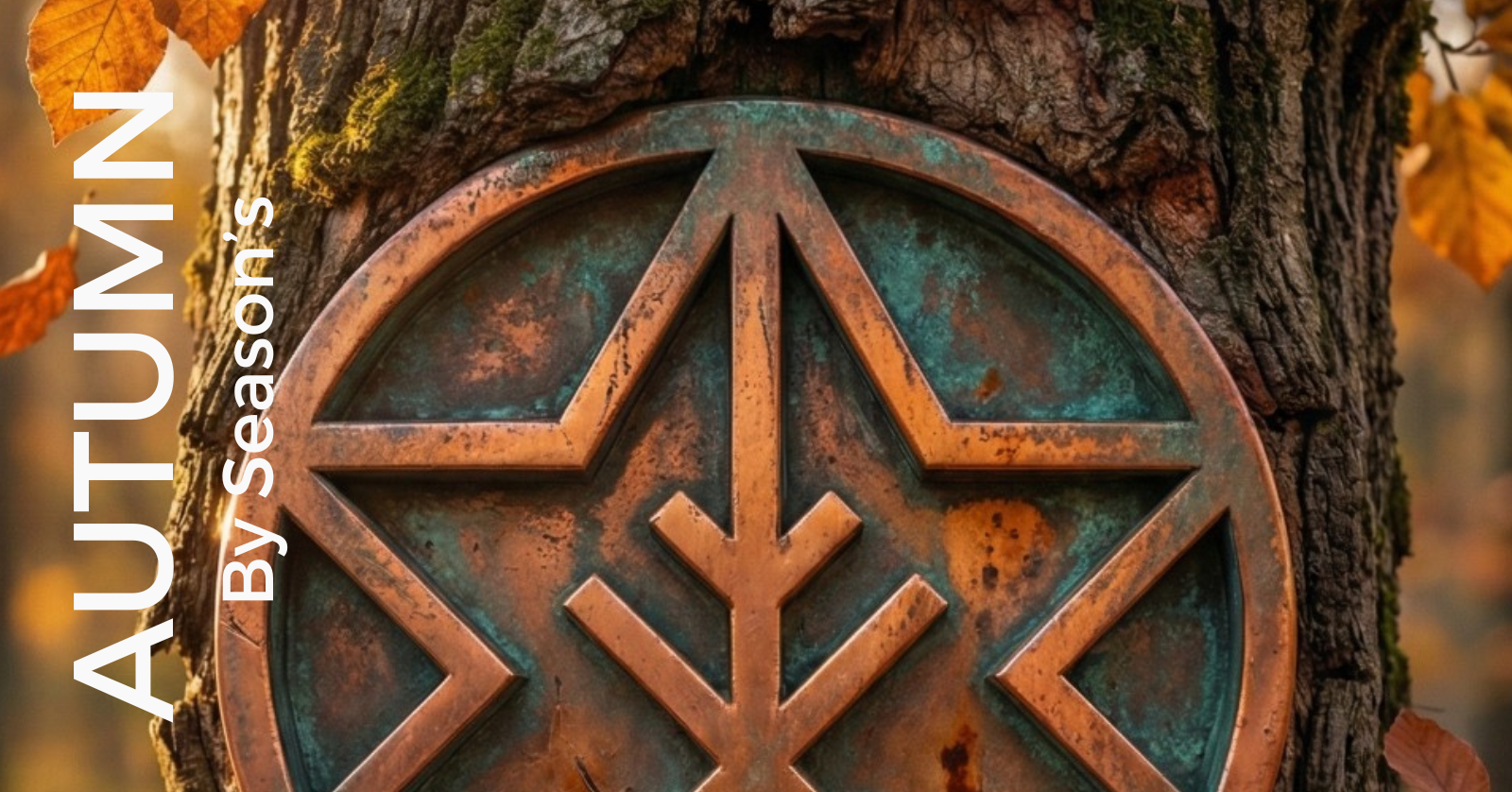 AUTUMN By Season's - Pouso Alegre, MG