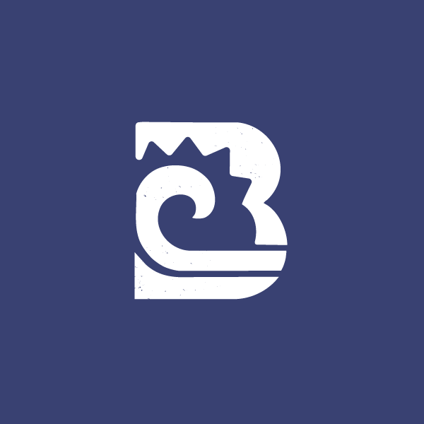 organizer