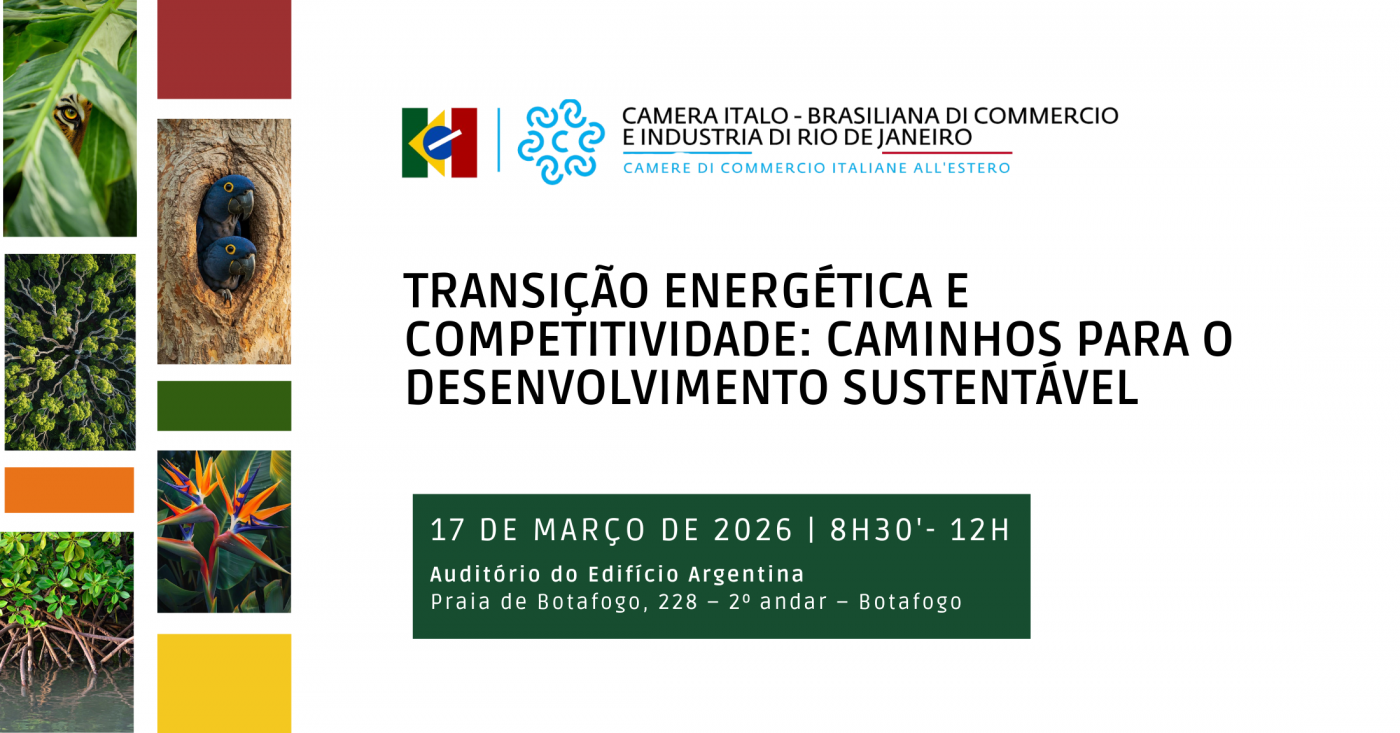 Transição Energética e Competitividade: Caminhos para o Desenvolvimento Sustentável