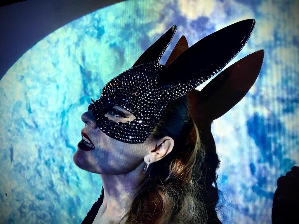 baile dos peixes no aquário - São Paulo, SP