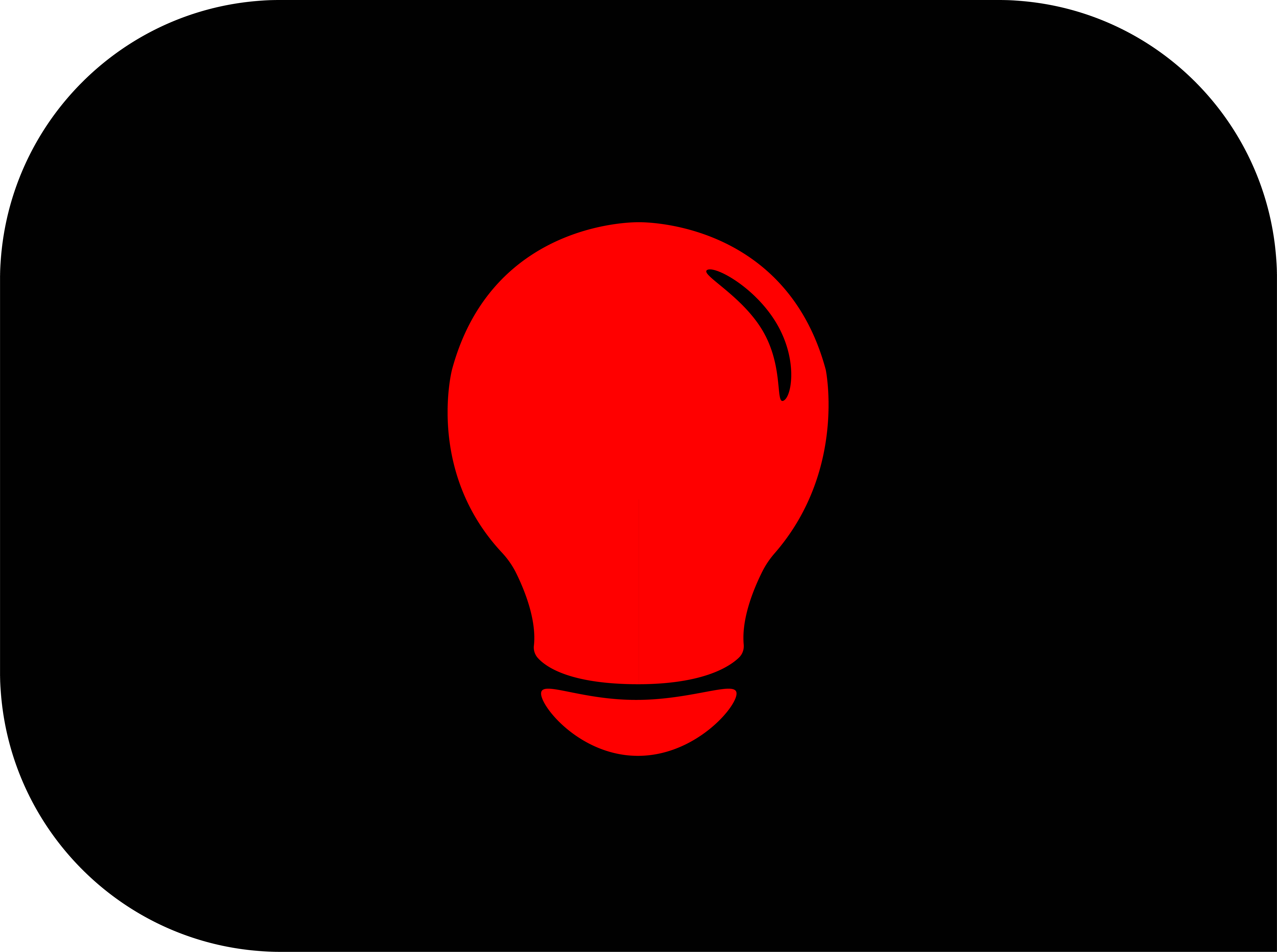 organizer