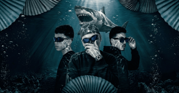 Imagem do evento SHARK Experience