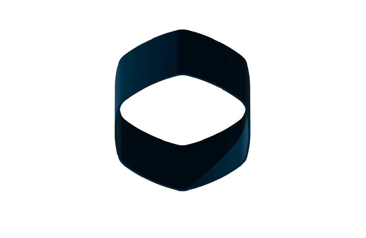 organizer