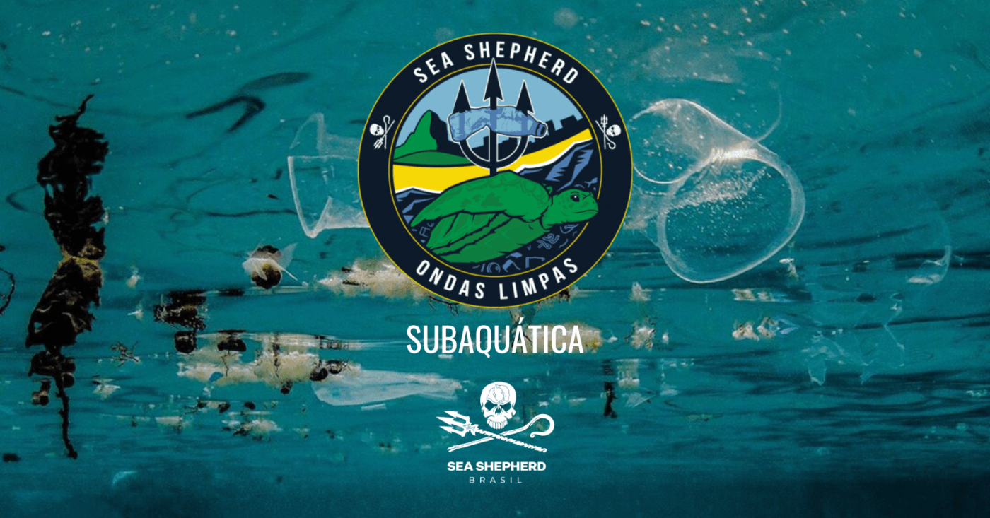 PRAIA DA LONGA, Ilha Grande RJ | Mergulho Ondas Limpas