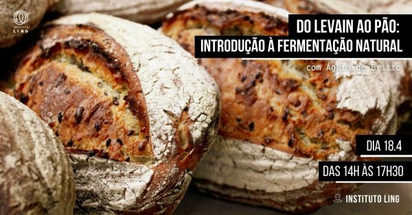 Imagem do evento Do Levain ao Pão: Introdução à fermentação natural