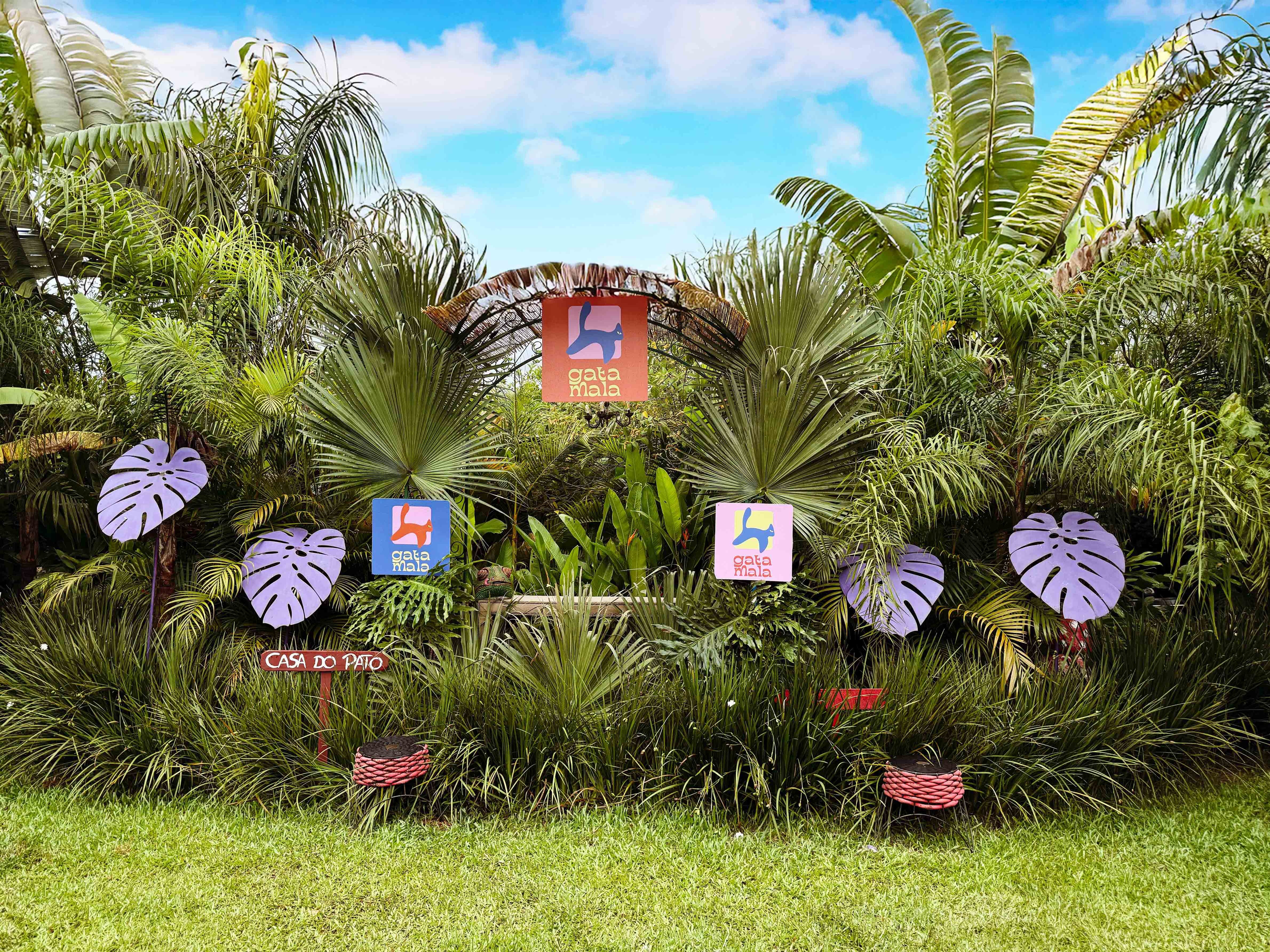 GATA MALA - 3 EDIÇÃO - Camboriú, SC